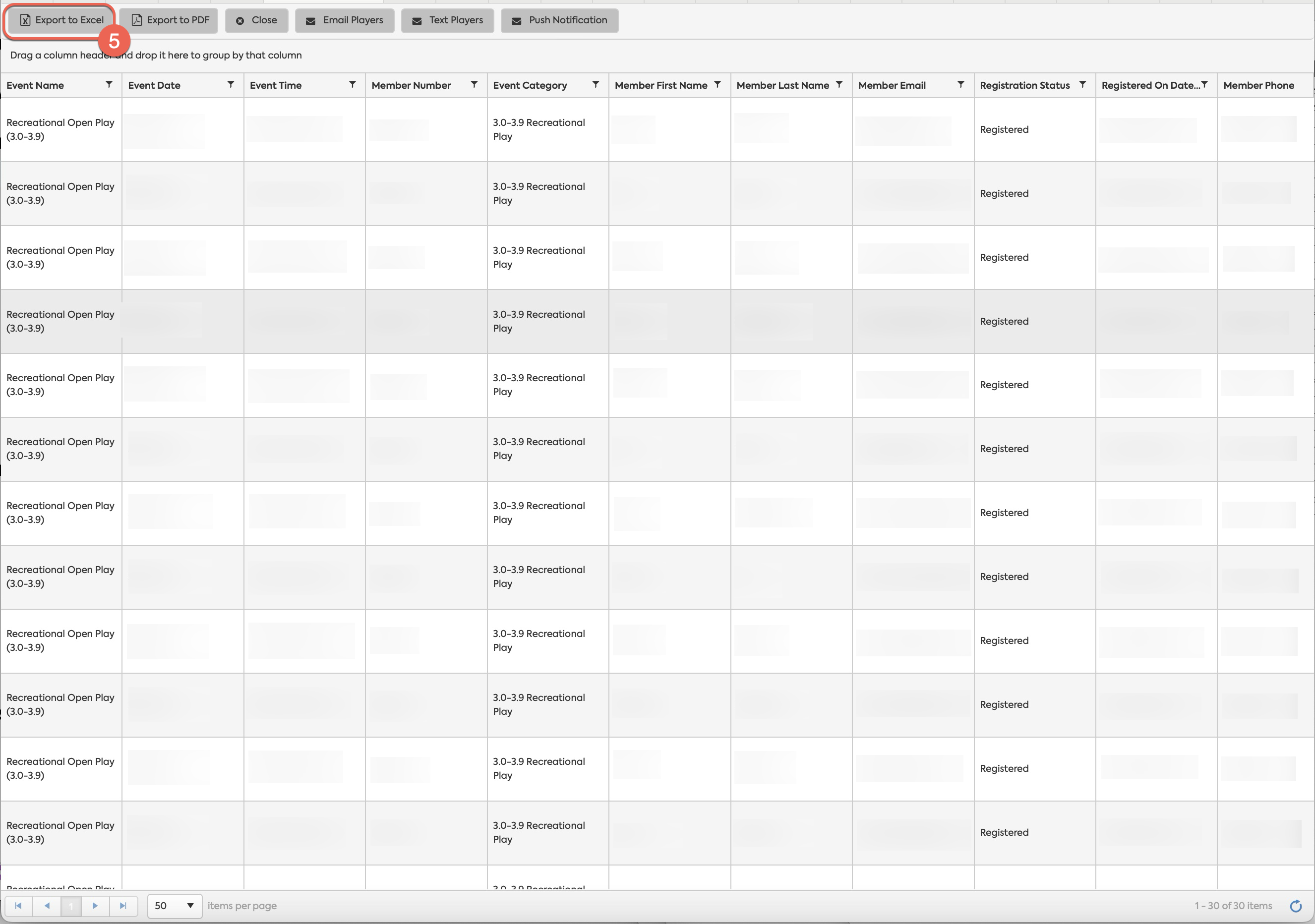 Step 4: Export to Excel